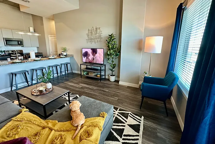 Furnished living space