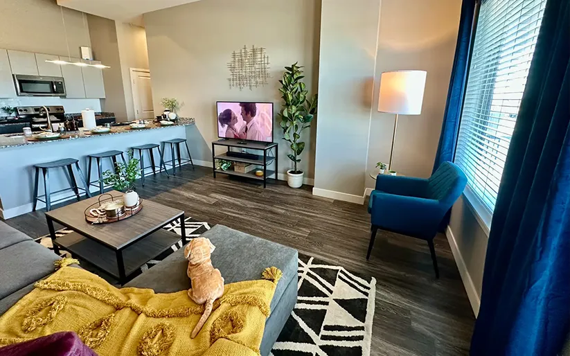 Furnished apartment interior