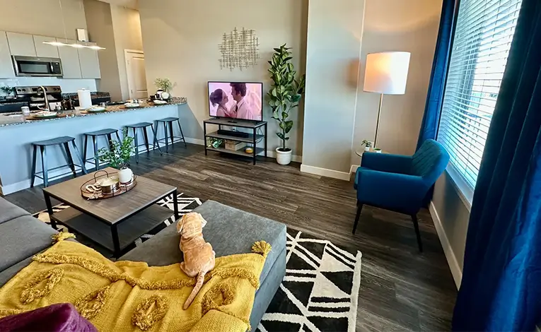 furnished living space